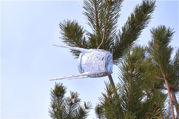 «Космическая столовая для птиц»