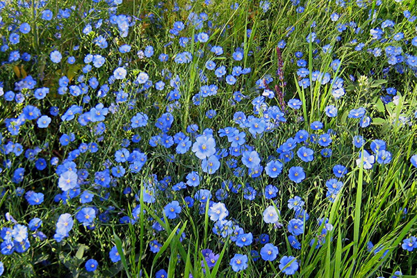 "Космическая пряжа": старт скоро! "Космическая пряжа": старт скоро!
