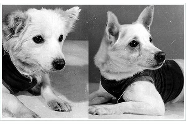 Труден путь к звёздам… Труден путь к звёздам…