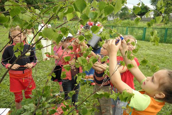 Лето – 2022 в музее