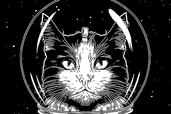 АстроКошка АстроКошка