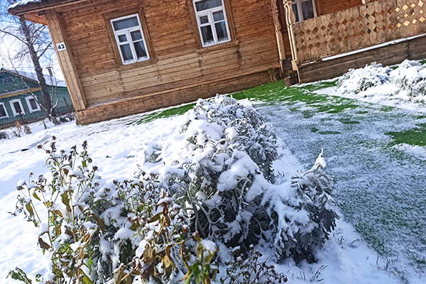 Гагаринское подворье: взгляд в будущее через призму прошлого