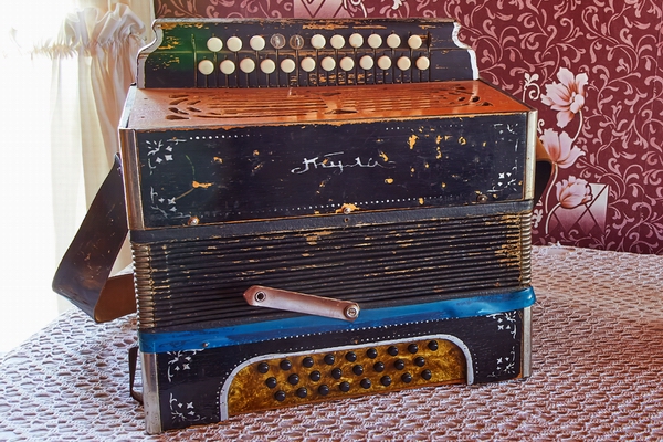 История одного предмета. Гармонь - как русская душа... История одного предмета. Гармонь - как русская душа...