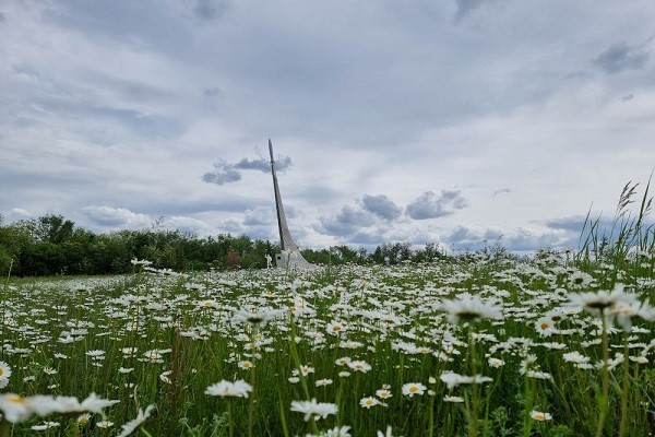 Счастливы вместе Счастливы вместе