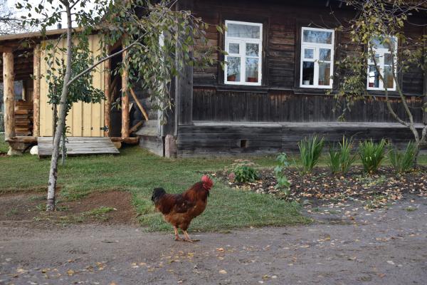 Пете очень нужна ваша помощь!