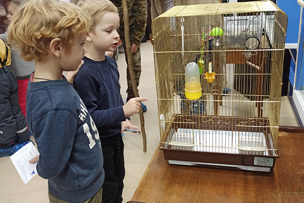 Коллаборация удалась