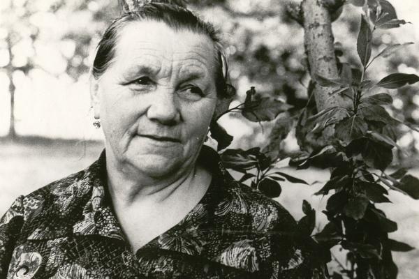 Из Клушино — в Гжатск