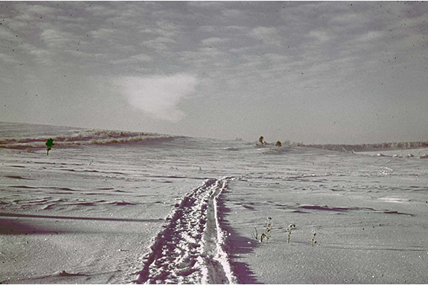 Победный гжатский март 1943 года