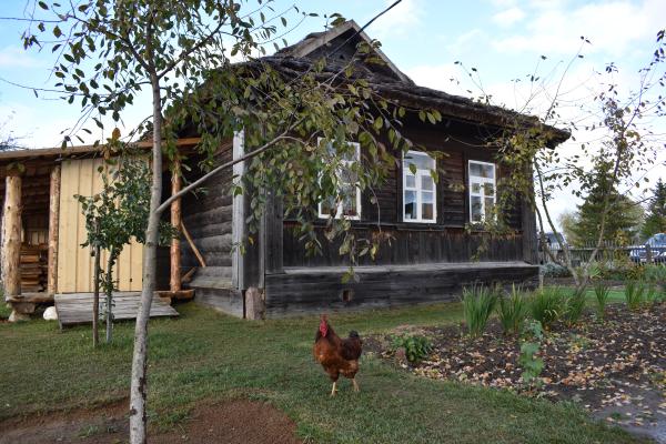 Хвостатый хранитель Музея-заповедника Ю.А. Гагарина