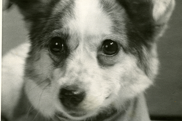 «Удача нам самим не помешает…» Юрий Гагарин