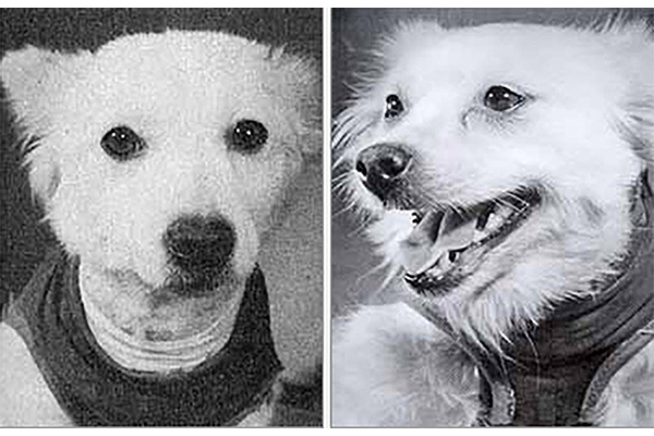 «Чудесное спасение»