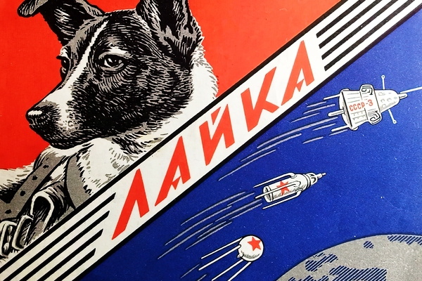 Живой разведчик космоса Живой разведчик космоса